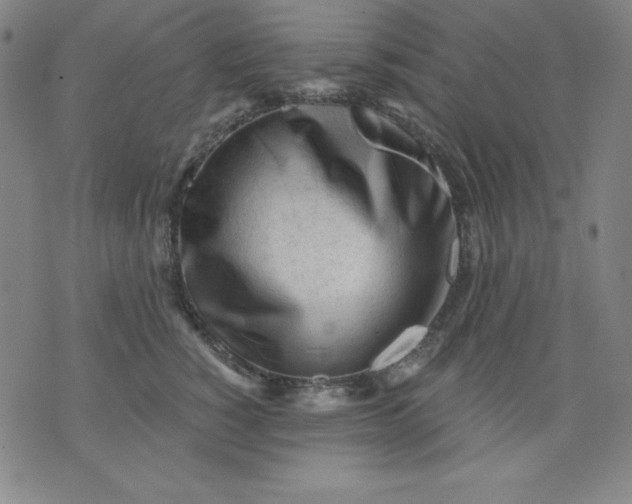 X0000076240760200610122140