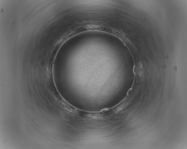 X0000076240763200610122140