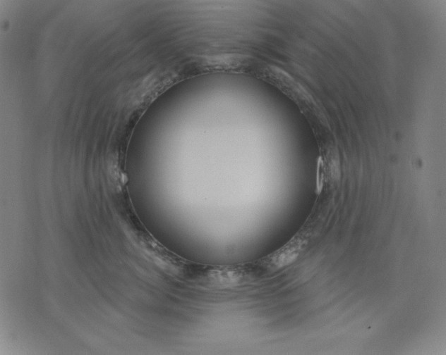 X0000076240764200610122140