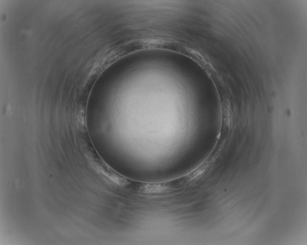 X0000076240766200610122140