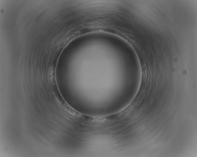 X0000076240767200610122140