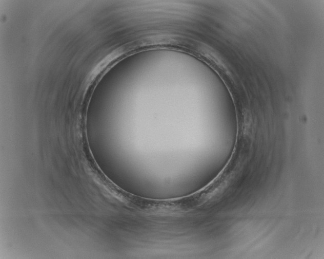 X0000076240786200610122139