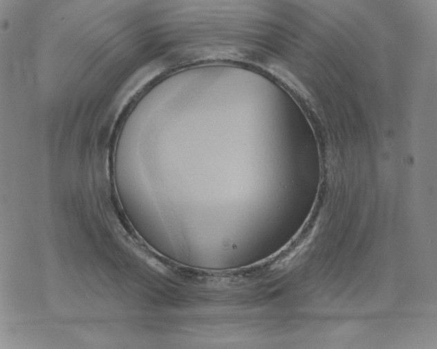 X0000076240790200610122139
