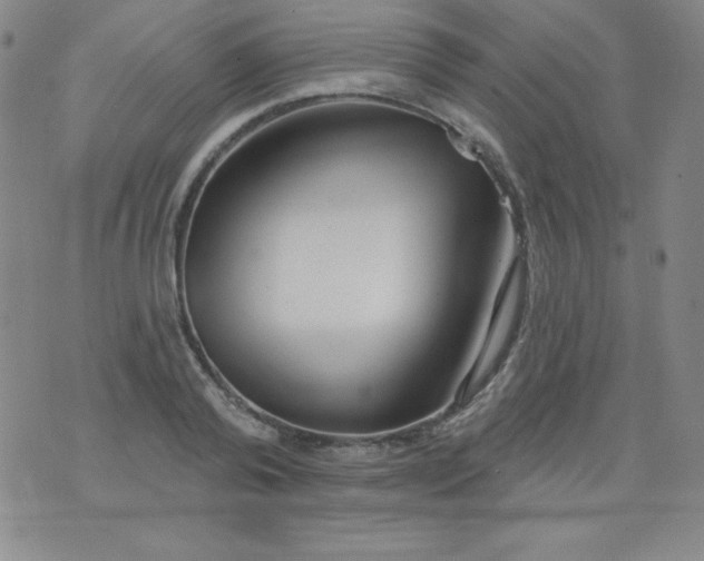 X0000076240792200610122139
