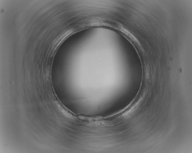 X0000076240801200610122139