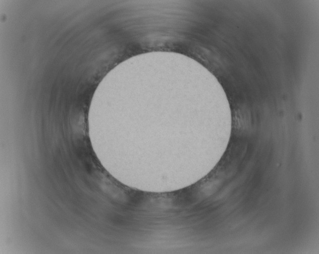 X0000076240820200610122138