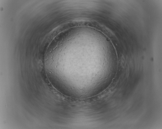X0000076240821200610122138