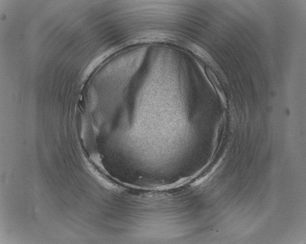 X0000076240842200610122138
