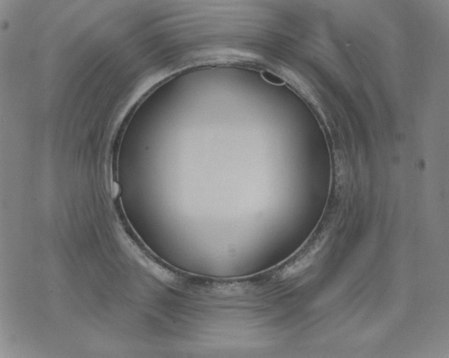 X0000076240843200610122138