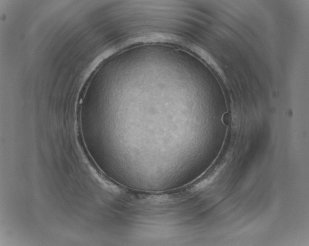 X0000076240845200610122138