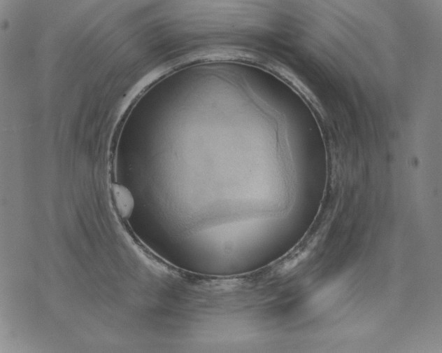 X0000076240853200610122138