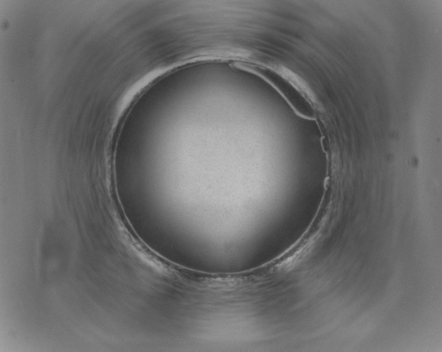 X0000076240854200610122138