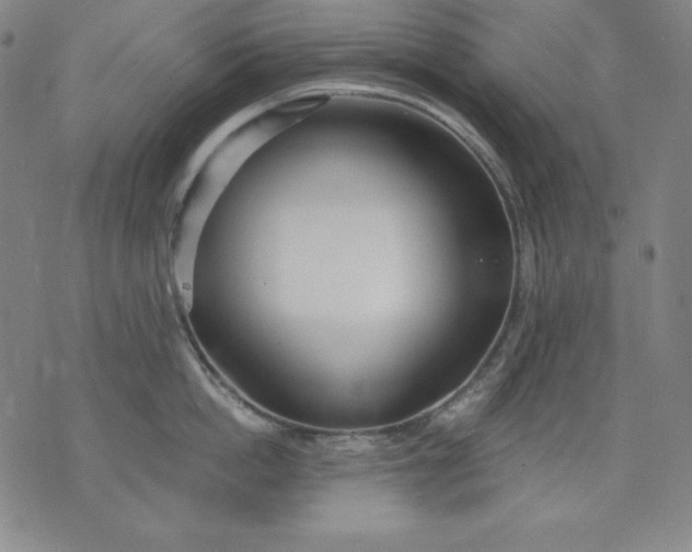 X0000076240862200610122139