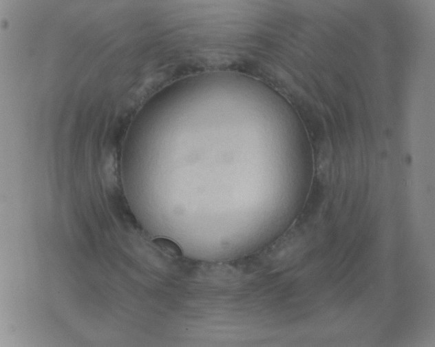 X0000076240866200610122138