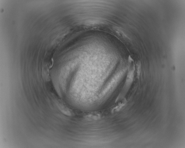 X0000076240868200610122138