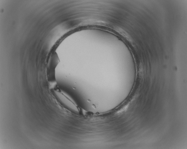 X0000076240877200610122138
