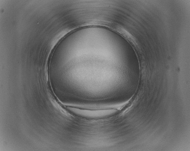 X0000076240892200610122137