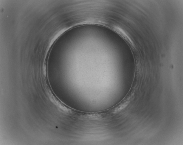 X0000076240900200610122137