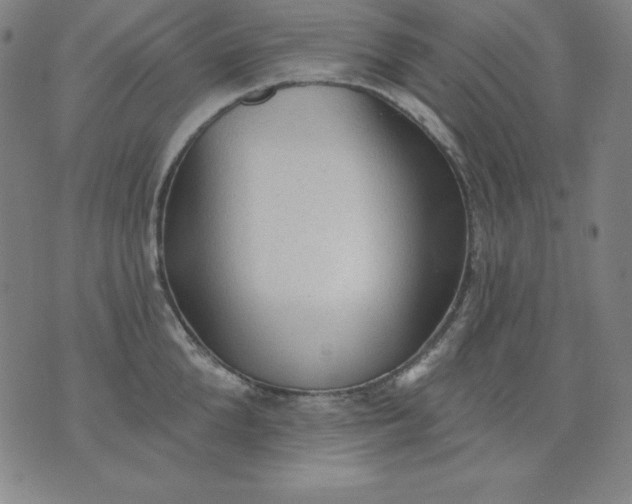 X0000076240904200610122137