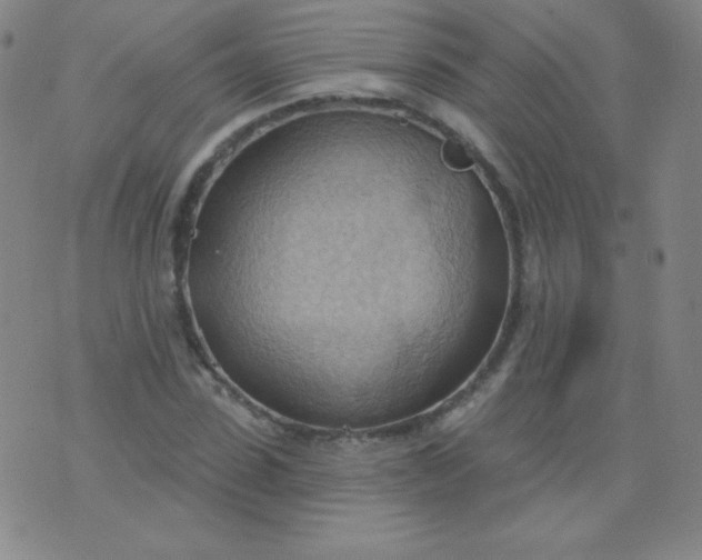 X0000076240923200610122136