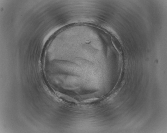 X0000076240928200610122136