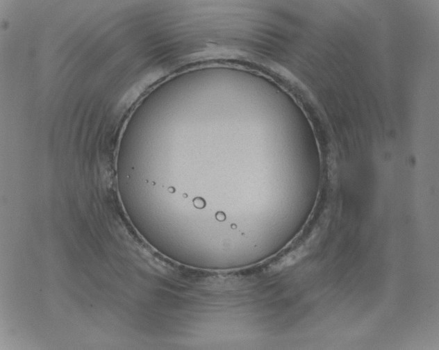 X0000076240929200610122137