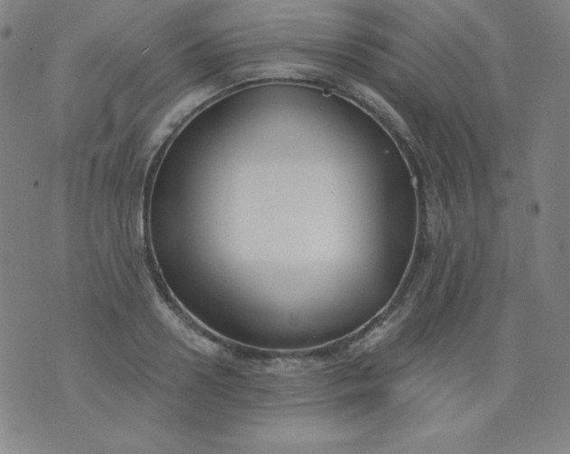 X0000076240938200610122137
