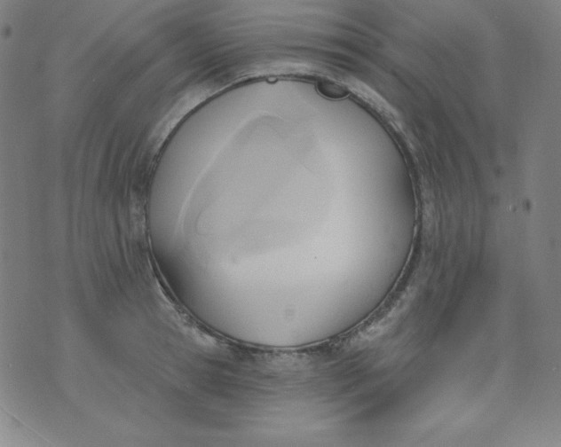 X0000076240945200610122137