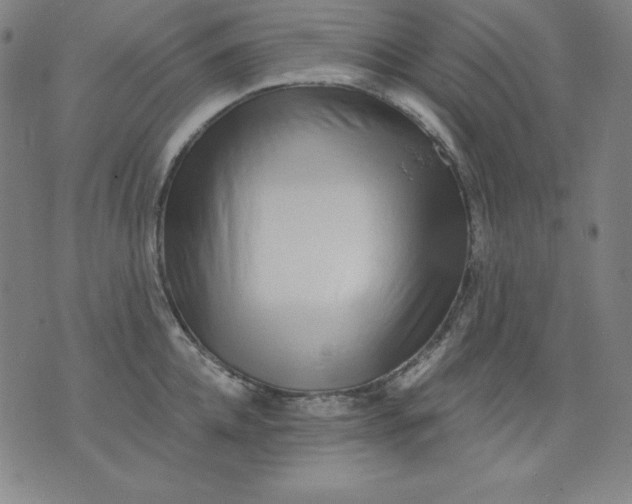 X0000076240952200610122137