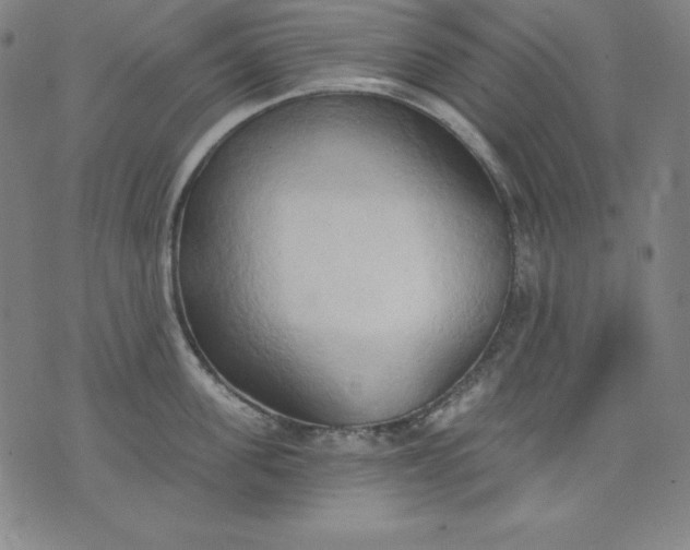 X0000076240955200610122137