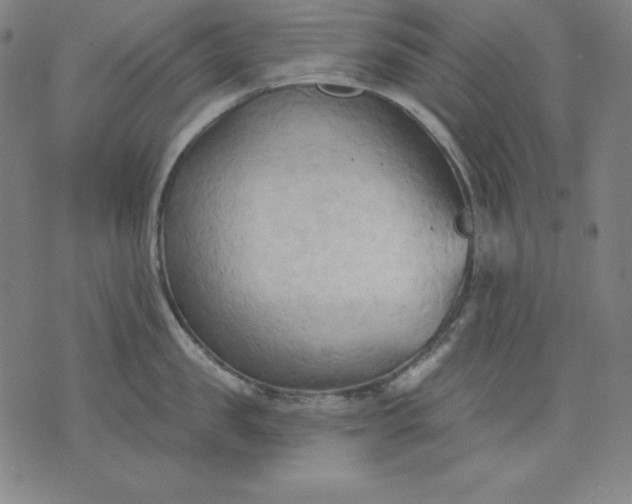 X0000076240957200610122137