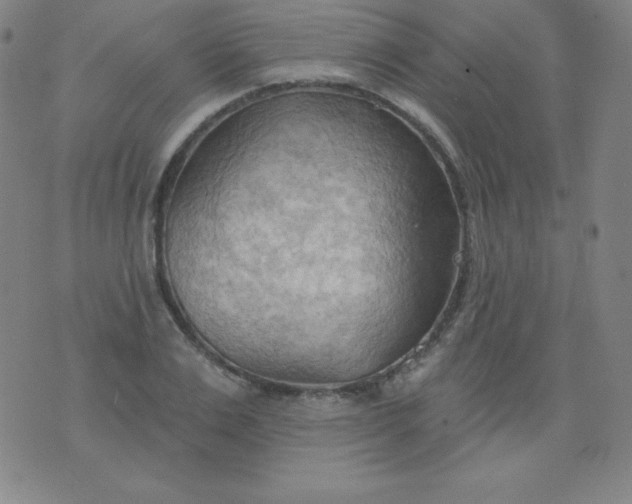 X0000076240983200610122136