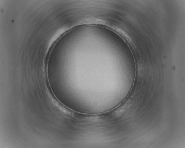 X0000076240990200610122136