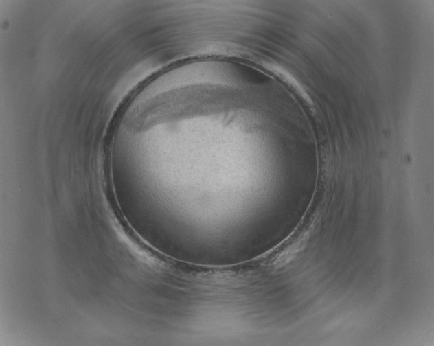 X0000076240991200610122136