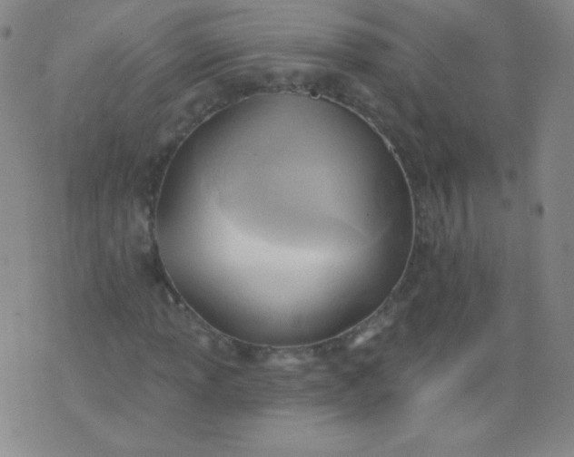 X0000076241013200610122135