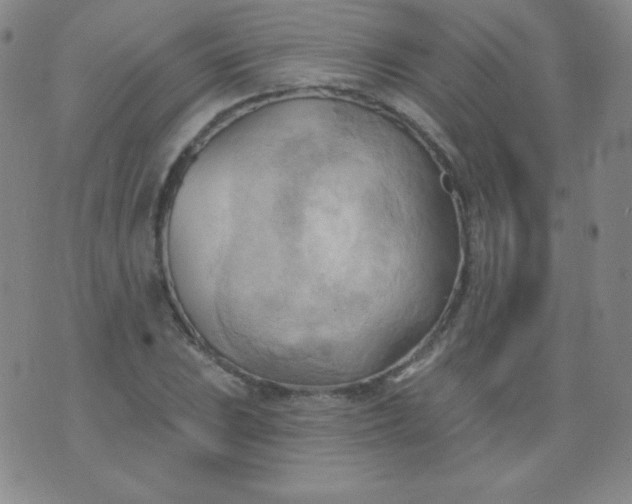 X0000076241023200610122135