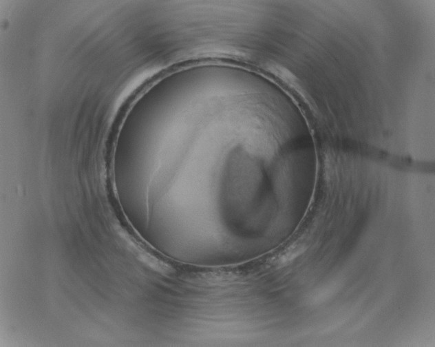 X0000076241024200610122135