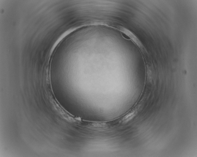 X0000076241052200610122135