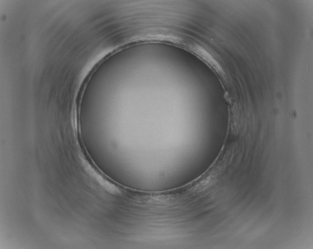 X0000076241084200610122134