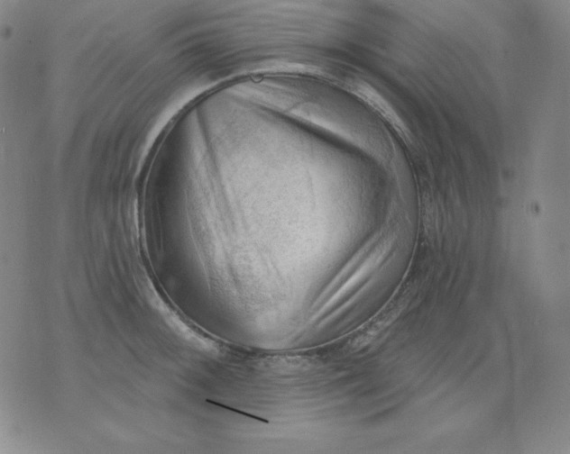 X0000076241092200610122134
