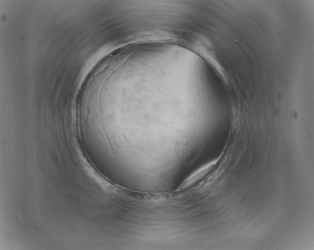 X0000076241099200610122134