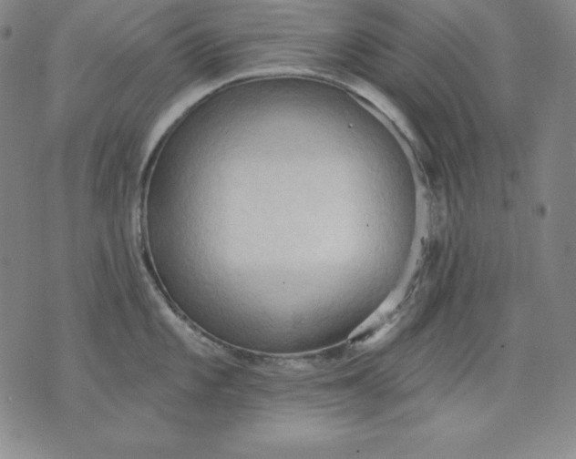X0000076241101200610122134