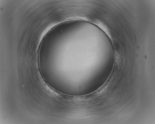 X0000076241102200610122134