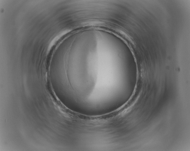 X0000076241117200610122133