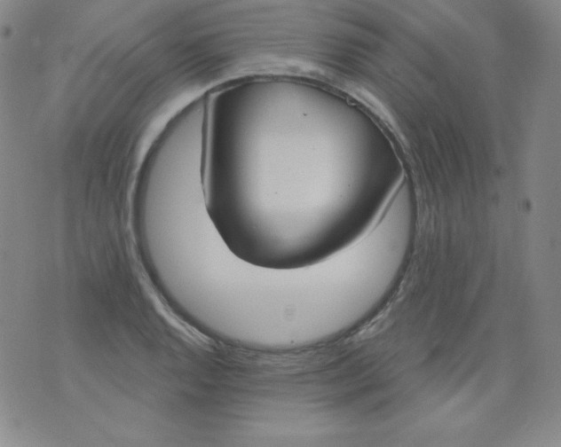X0000076241128200610122133