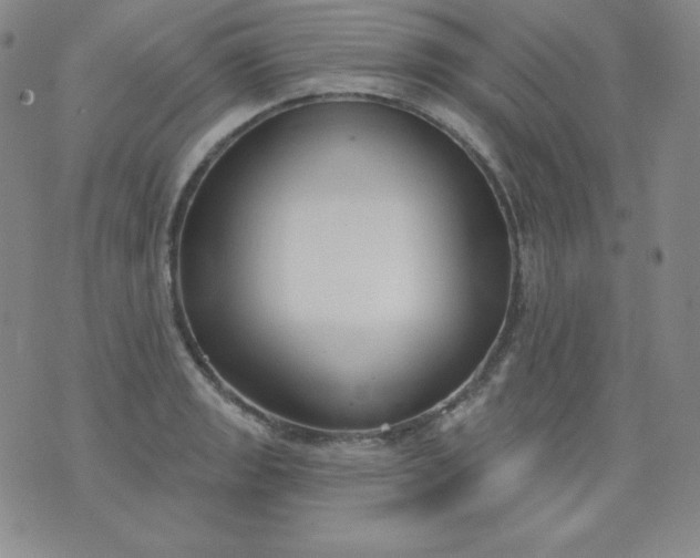 X0000076241133200610122133