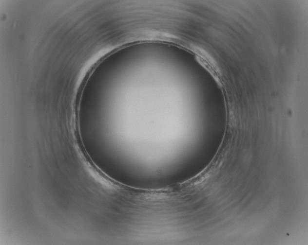 X0000076241136200610122134