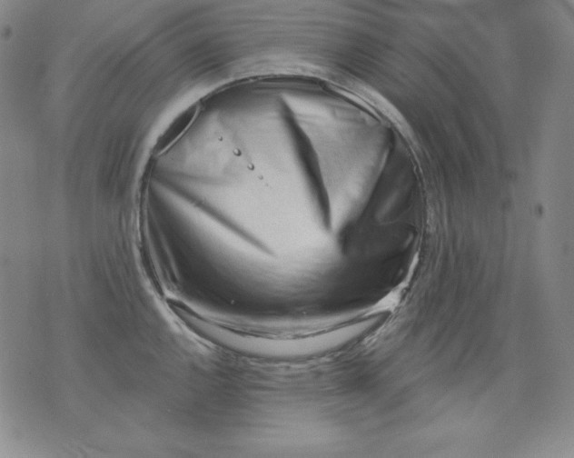 X0000076241144200610122134