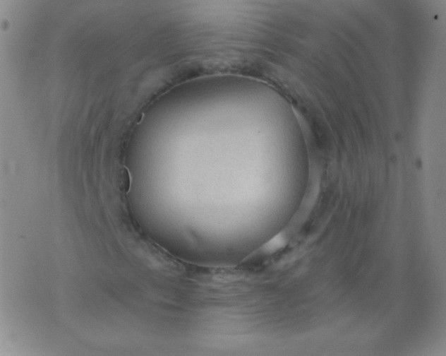 X0000076241153200610122133