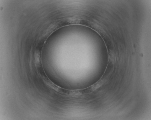 X0000076241154200610122133